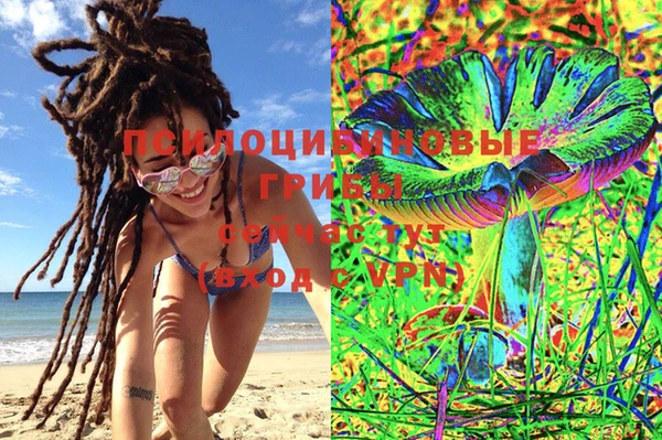 индика Киреевск