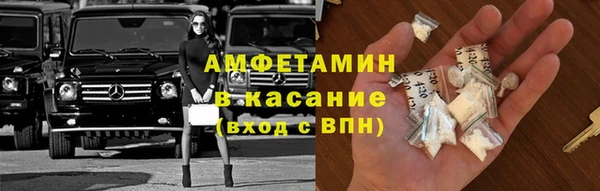 индика Киреевск