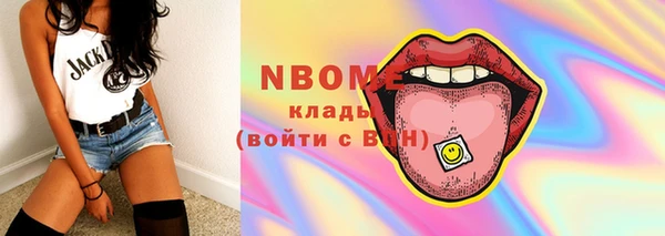 индика Киреевск