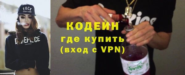 индика Киреевск