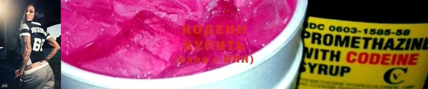 индика Киреевск