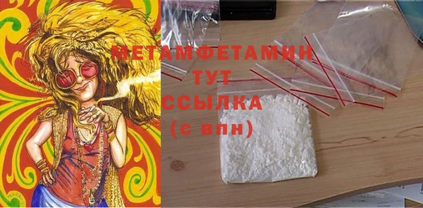 индика Киреевск