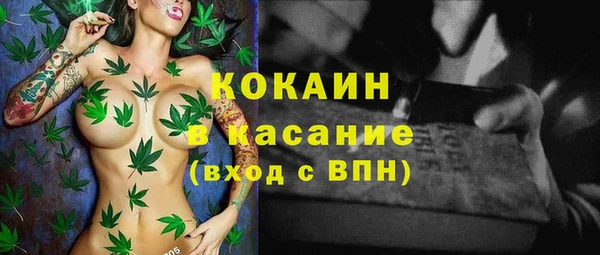 индика Киреевск