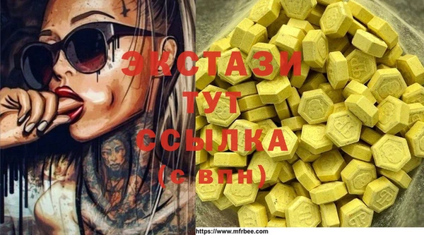 индика Киреевск