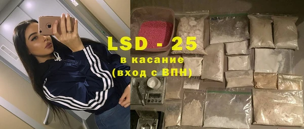 индика Киреевск