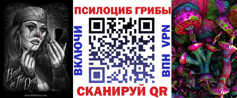 Купить где  Полярный  Галлюциногенные грибы MAGIC MUSHROOMS 